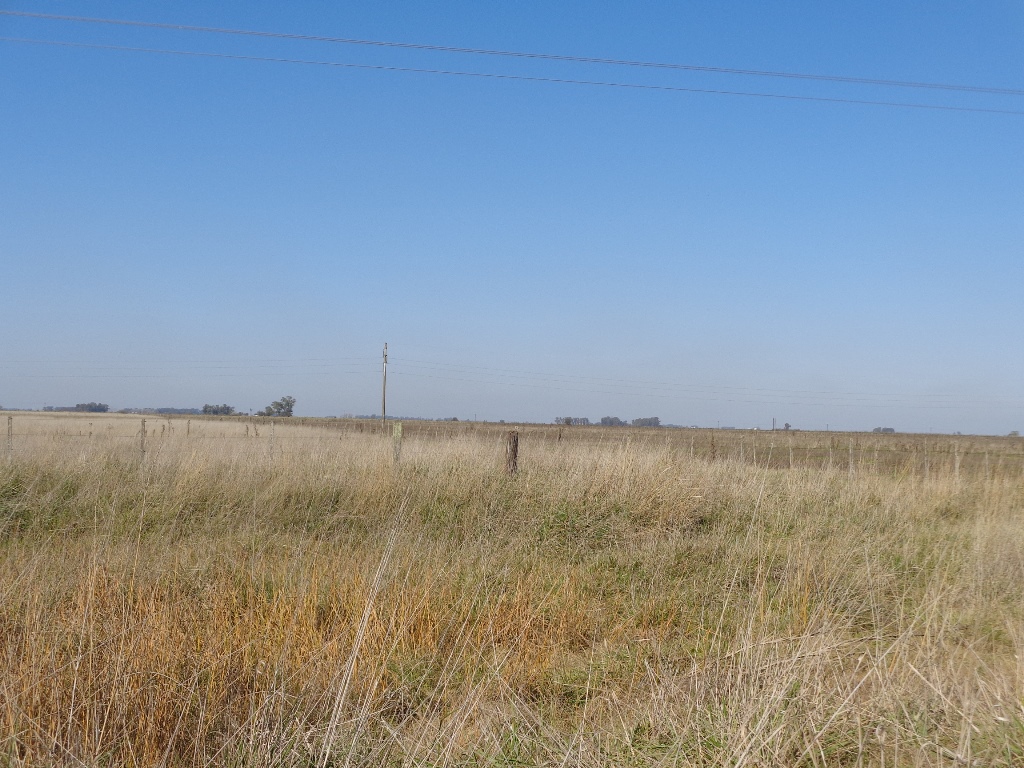 Ruta 3 km 212, a 6km de ruta · Las Flores — foto 9