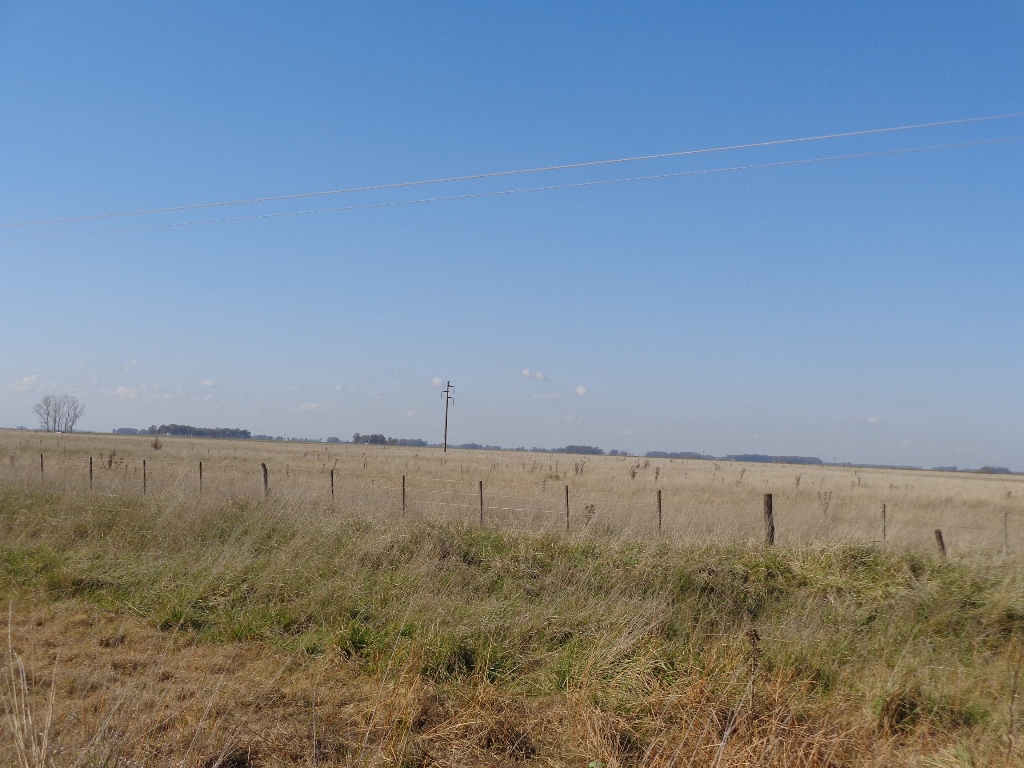 Ruta 3 km 212, a 6km de ruta · Las Flores — foto 10