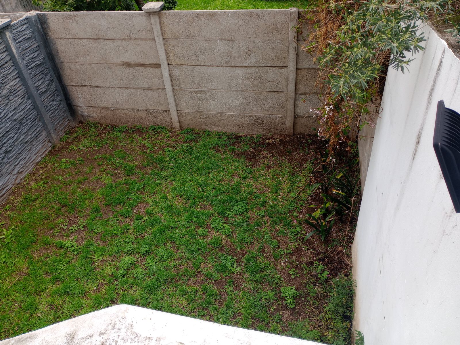 GANDOLFO  2870 · San Fernando — foto 32
