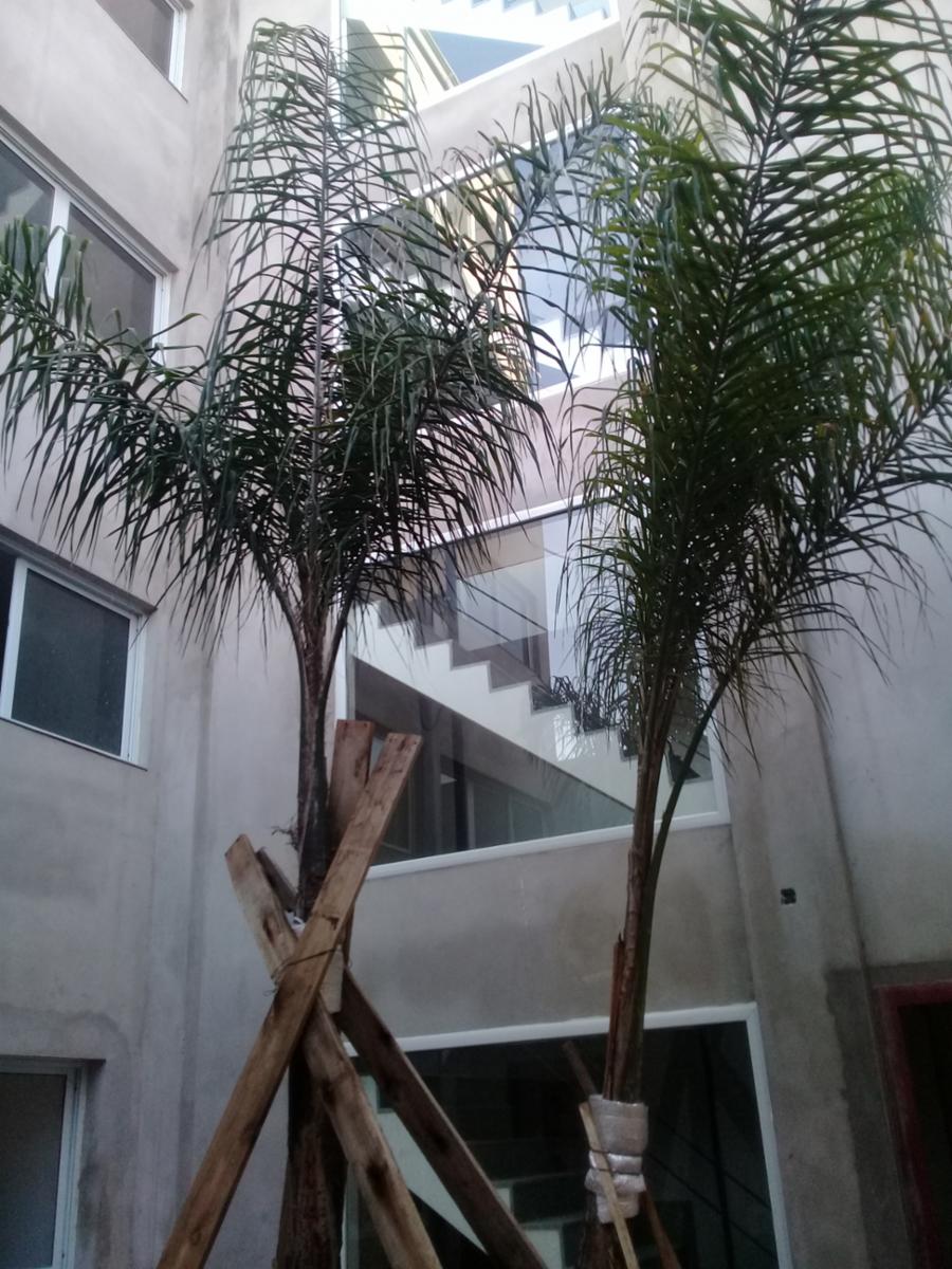 Chiclana 100 · Morón — foto 4