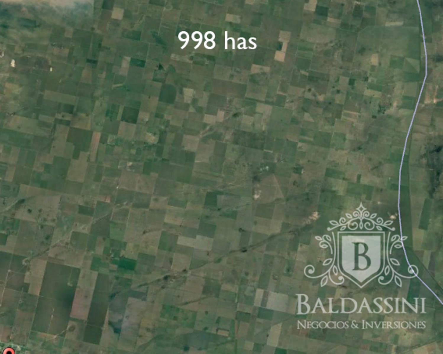 CAMPO DE 1000 HAS EN DEPARTAMENTO DE SAN JUSTO - CORDOBA