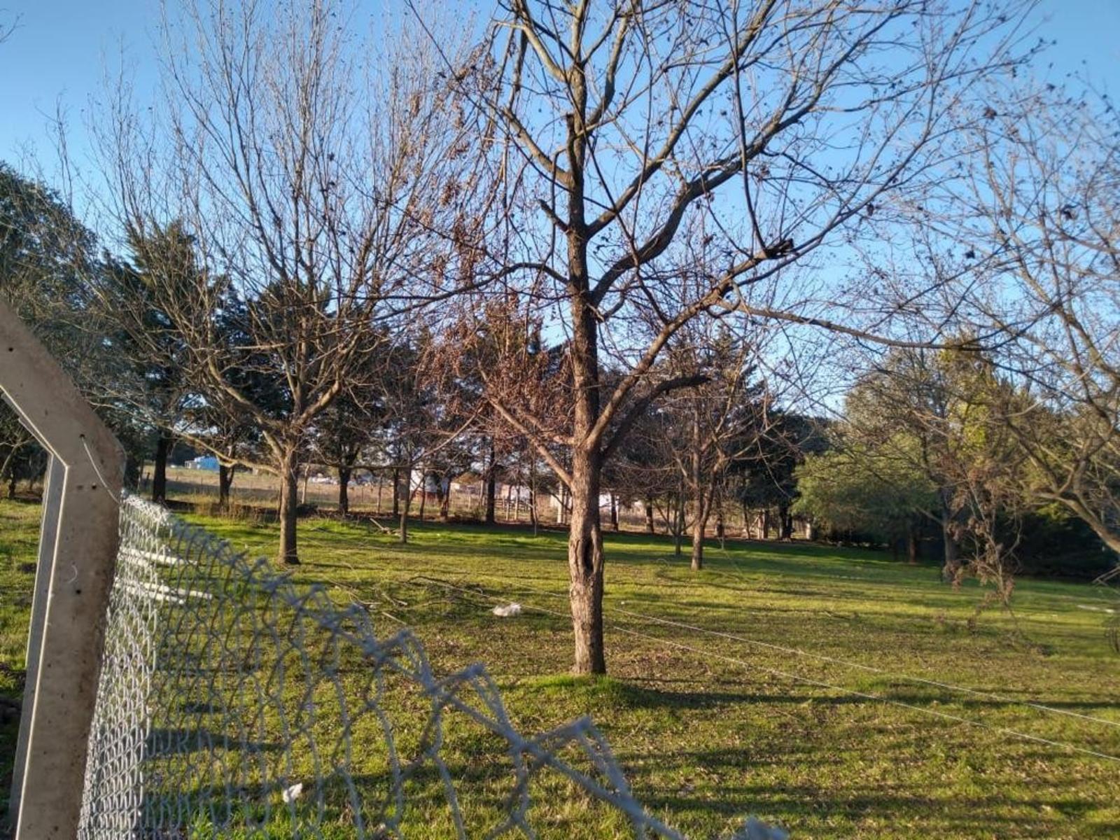 Chacra los Pecanes · Gualeguay — foto 3