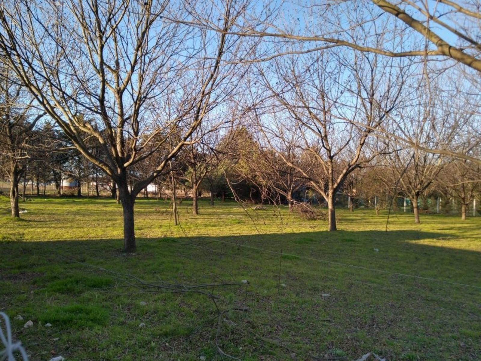 Chacra los Pecanes · Gualeguay — foto 4