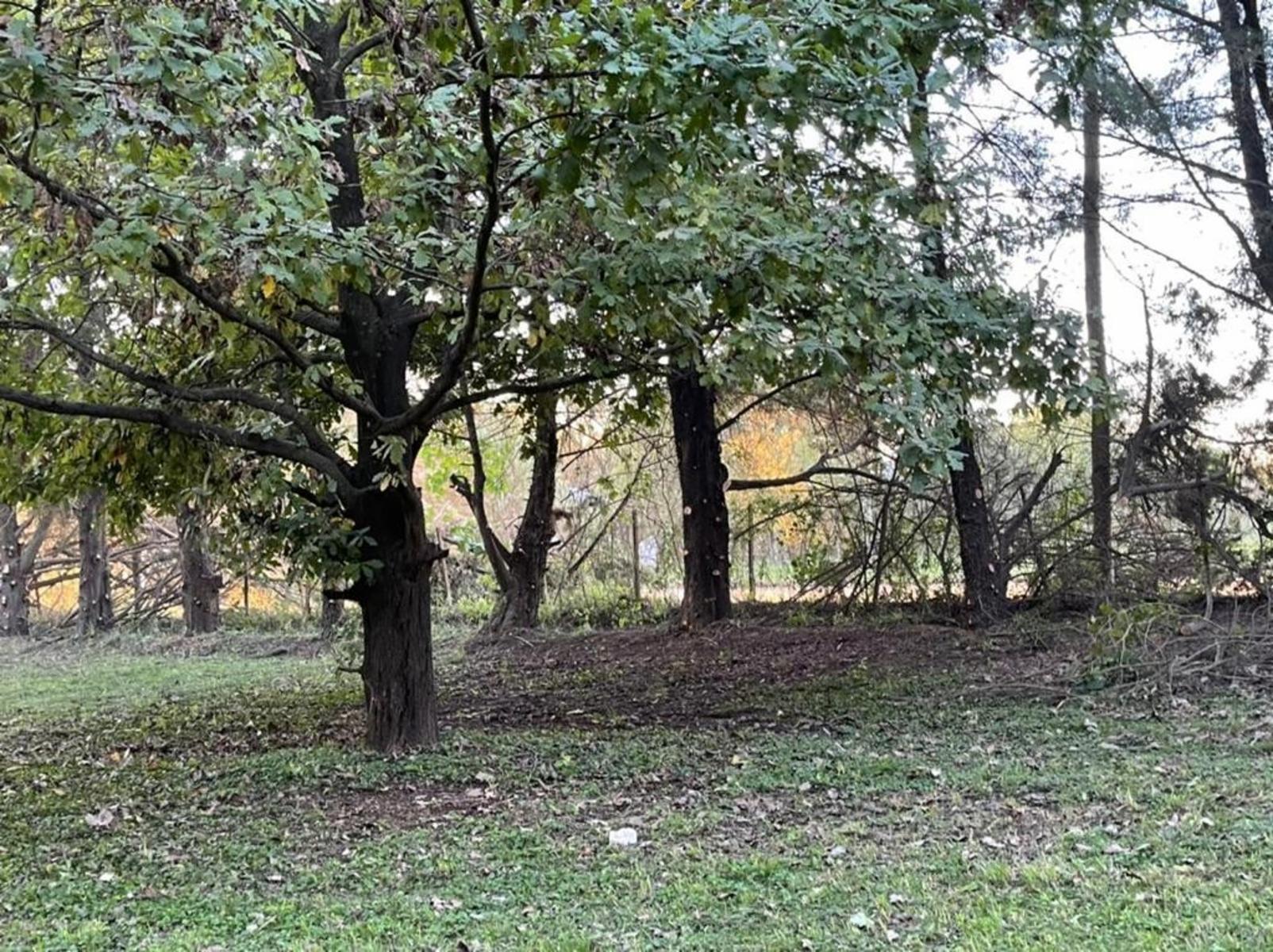 Chacra los Pecanes · Gualeguay — foto 6