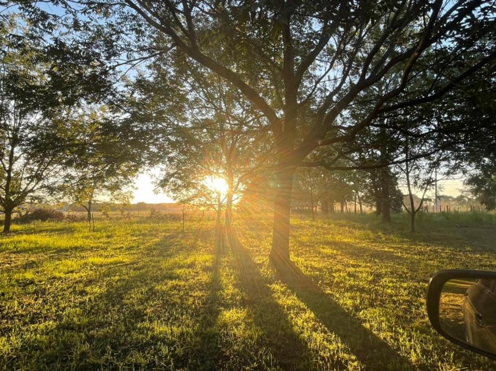 Chacra los Pecanes · Gualeguay — foto 7