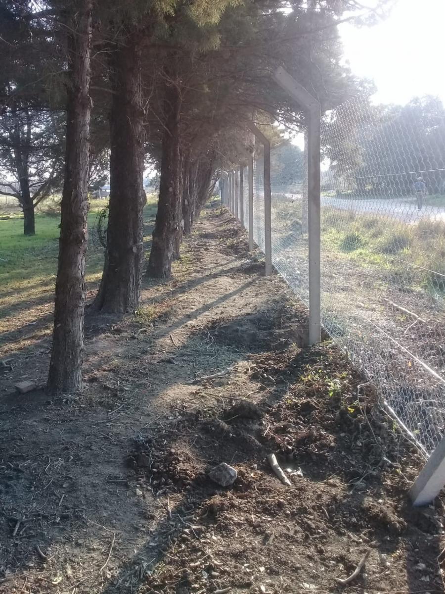 Chacra los Pecanes · Gualeguay — foto 10