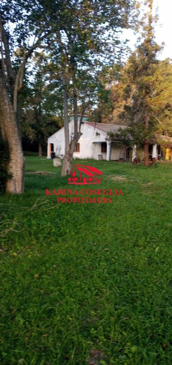 VENTA 4 HECTAREAS IDEAL INVERSORES . PILAR