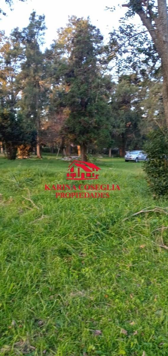 LOS OLIVAS · Pilar — foto 3