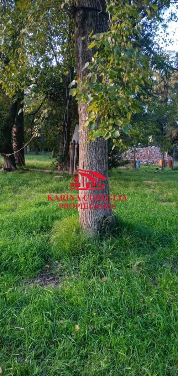 LOS OLIVAS · Pilar — foto 5