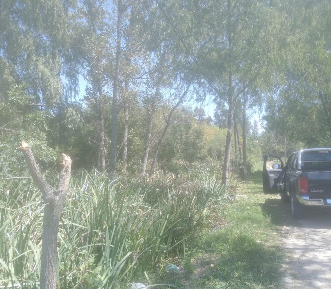 Goyechea 4596 · Tigre — foto 4