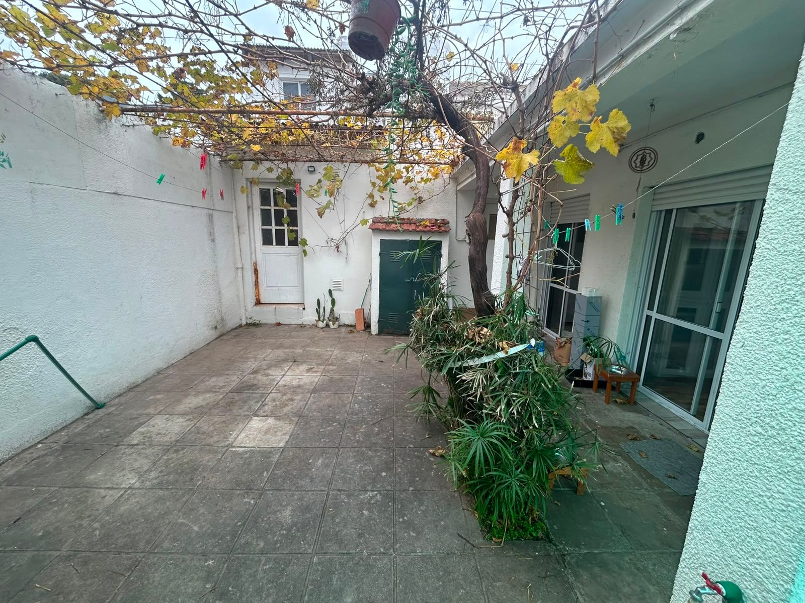 Rio Neuquén 30 · Monte Hermoso — foto 24