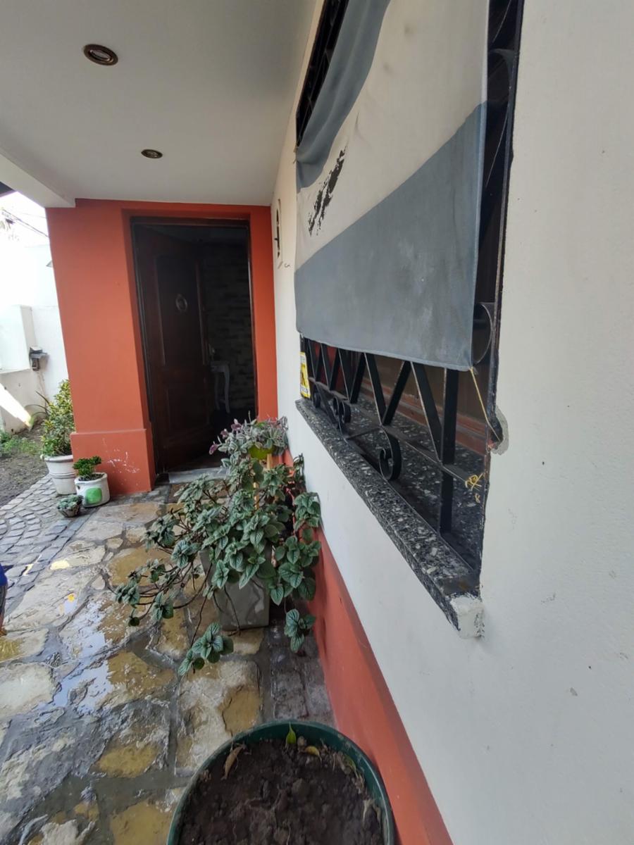 Pino 1800 · Morón — foto 5