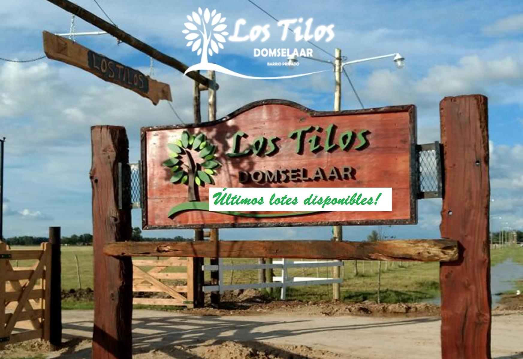 DOMSELAAR - Casa a estrenar en LOS TILOS