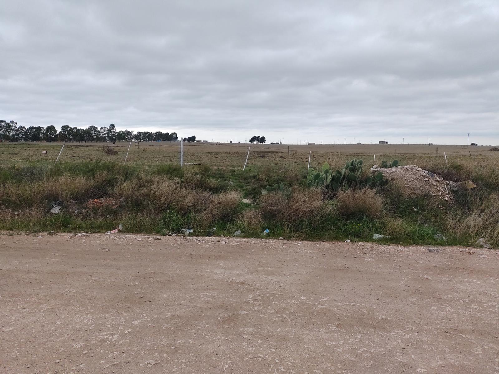 spilimbergo 3600 · Bahia Blanca — foto 4