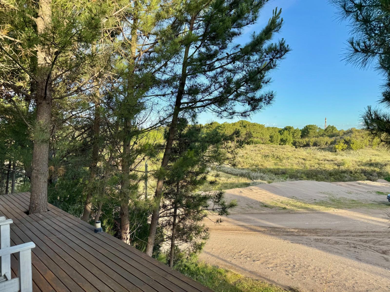 Sansot y Martinetas · Monte Hermoso — foto 8