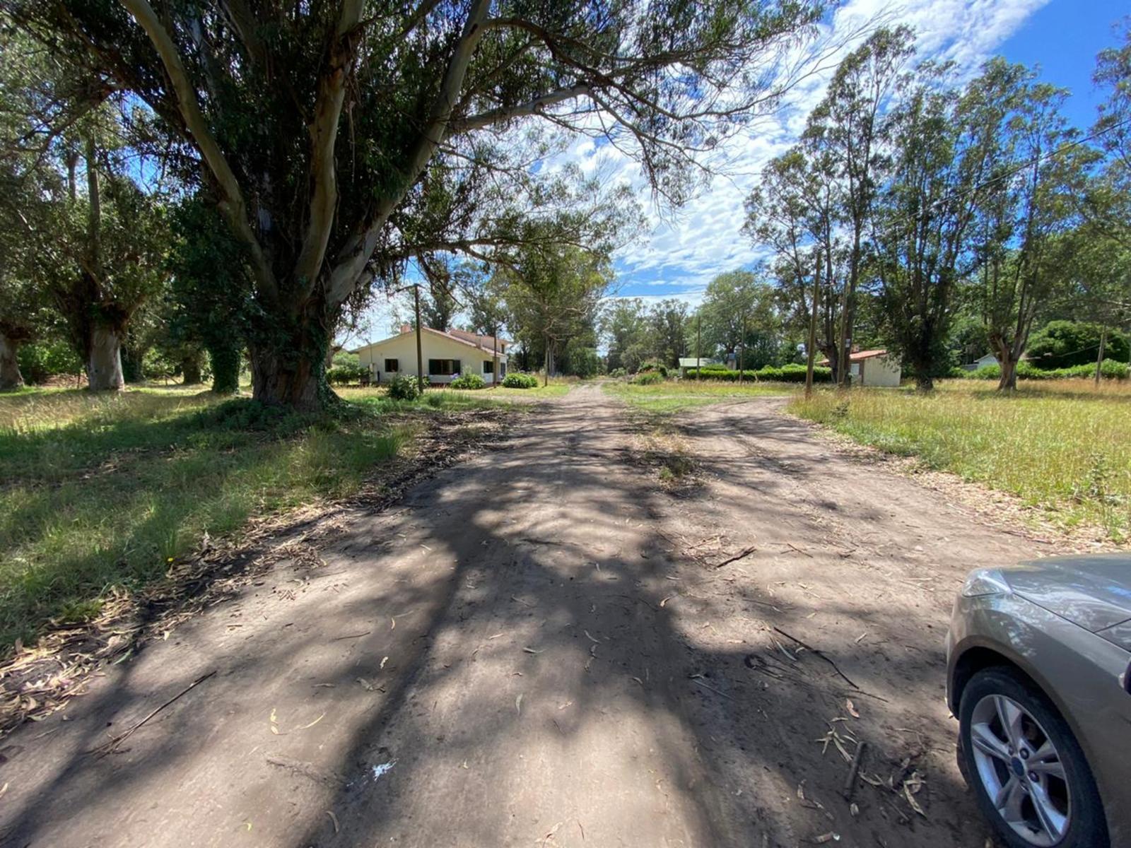 Calle Las Heras · General Alvarado — foto 3