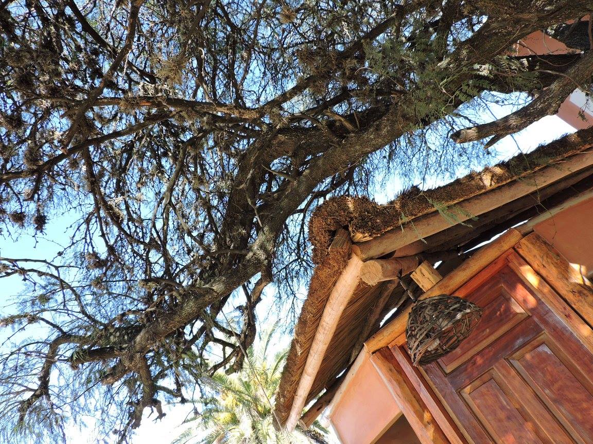 BARRIO SANTA RITA · Punilla — foto 15