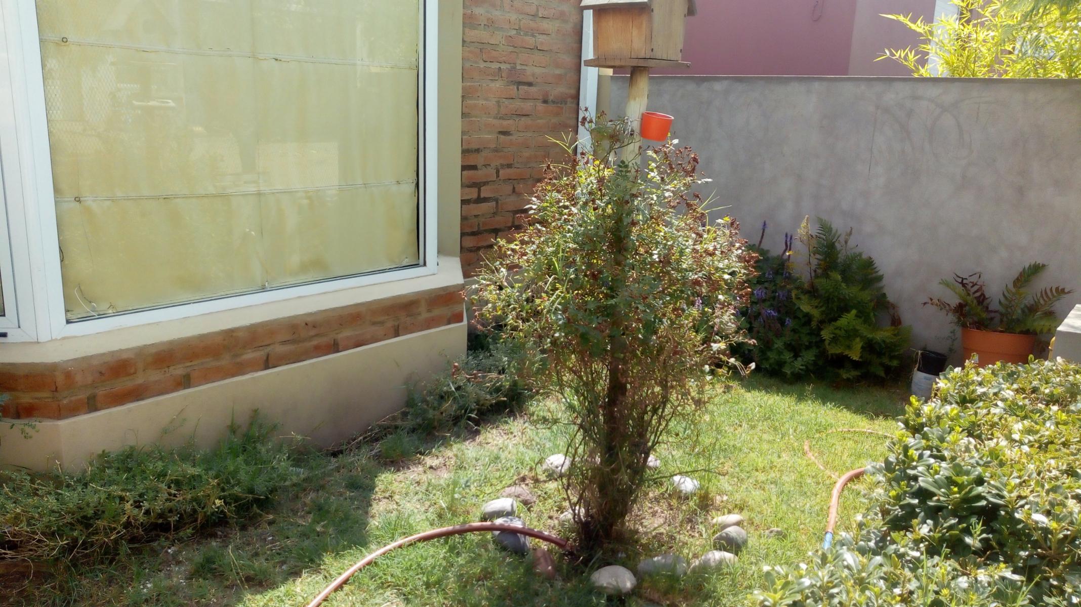 Rudecindo Paez 1071 · Monte Hermoso — foto 18