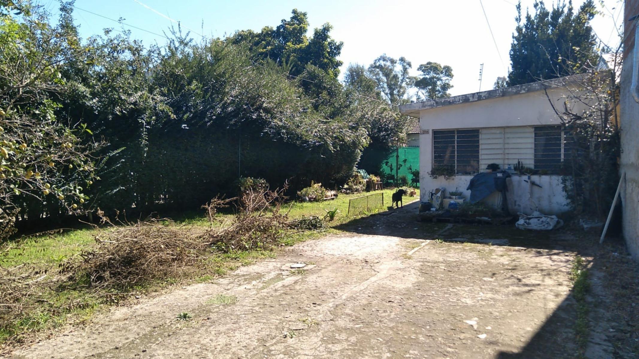 GENERAL ALVEAR 3056 · Tigre — foto 11