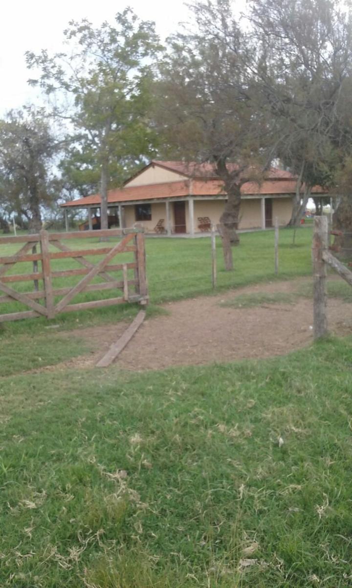 Campo - Las Flores 14 HA · Las Flores — foto 5