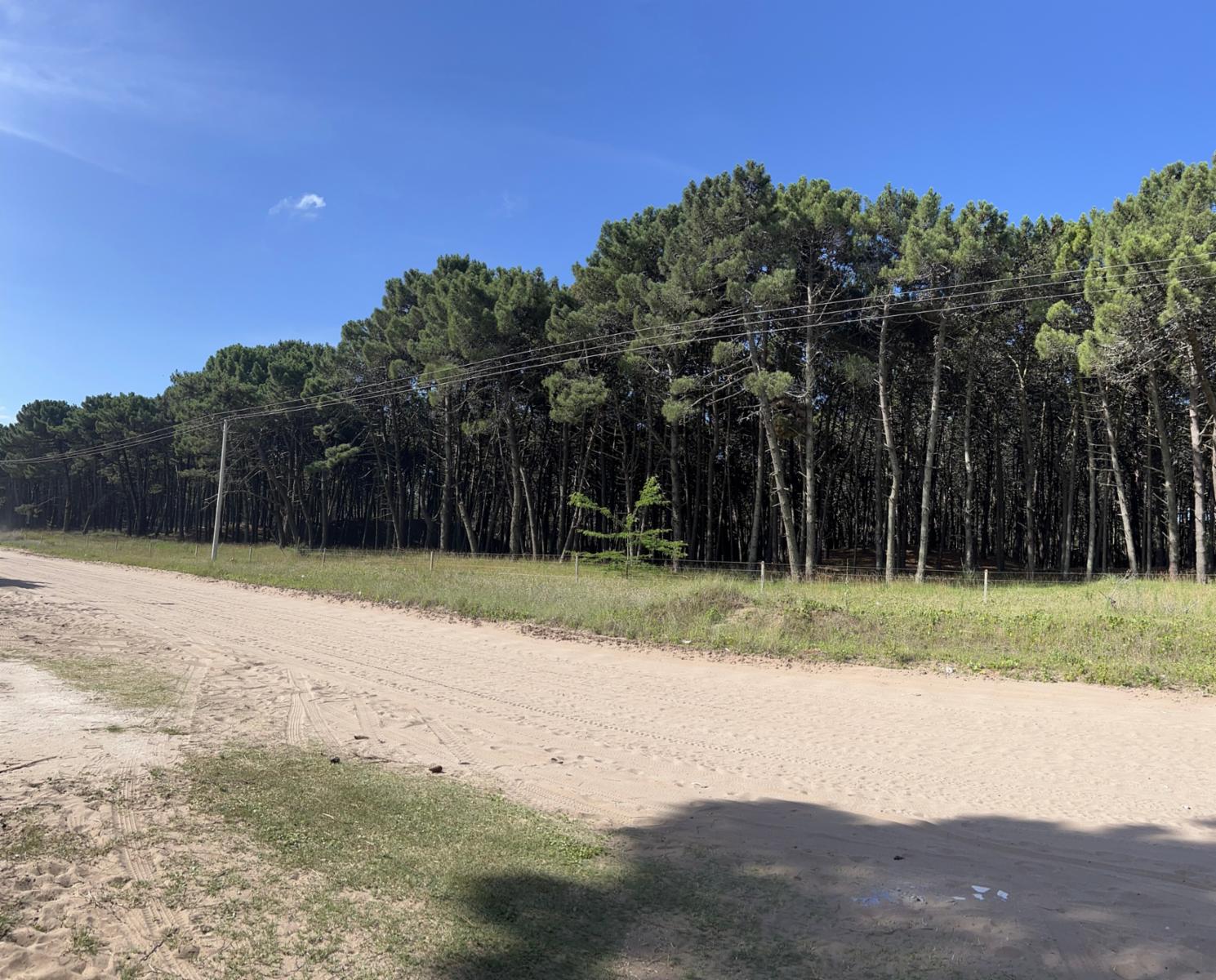 Martin Pescador 2280 · Pinamar — foto 14