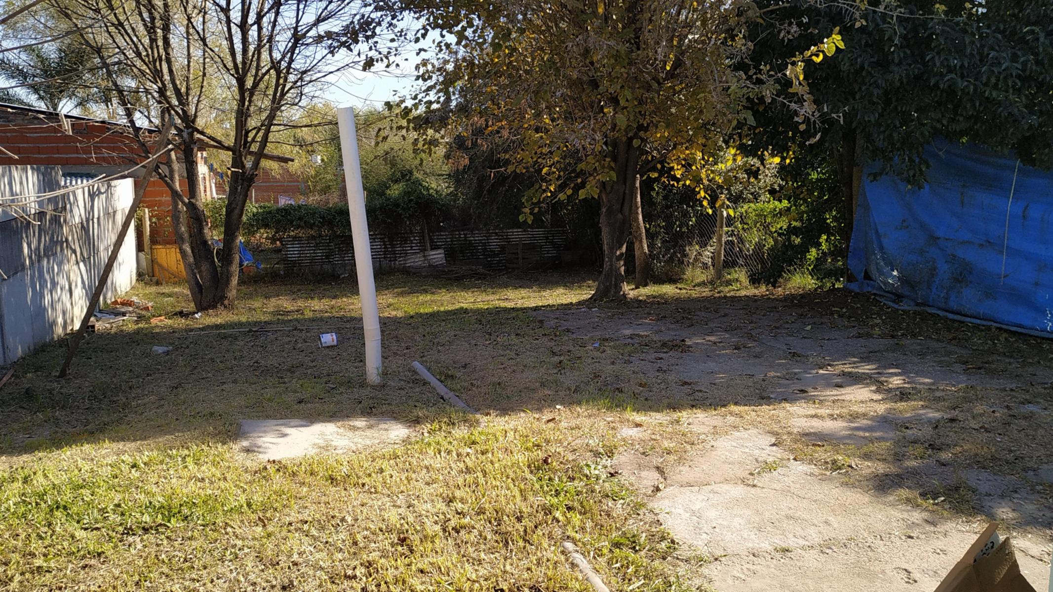Augusto Vanerio · Colón — foto 9