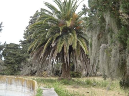 Ruta nueva a 2,9km a la der. y 5km adentro por camino de tierra, Victoria, Entre Ríos · Victoria — foto 15