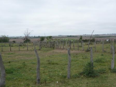 Ruta nueva a 2,9km a la der. y 5km adentro por camino de tierra, Victoria, Entre Ríos · Victoria — foto 9