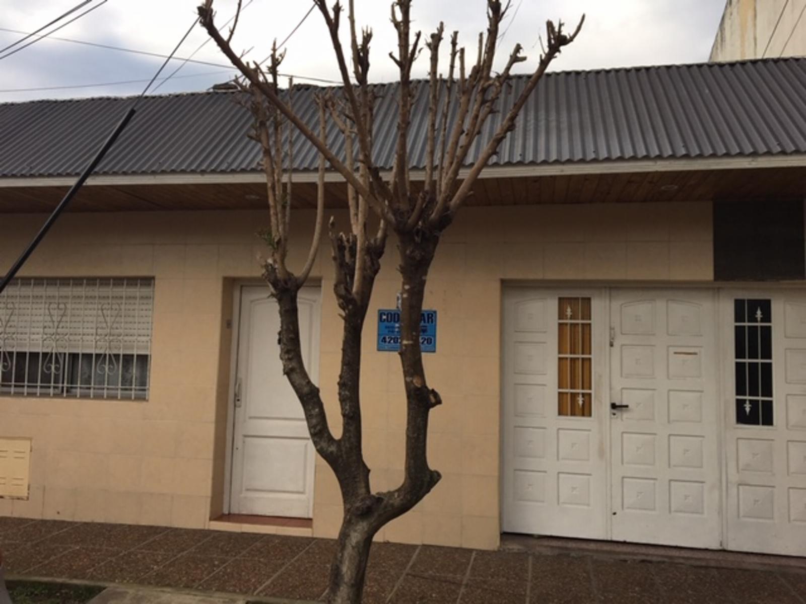 Ideal inversor 3 UF, 2 alquiladas Quilmes Oeste