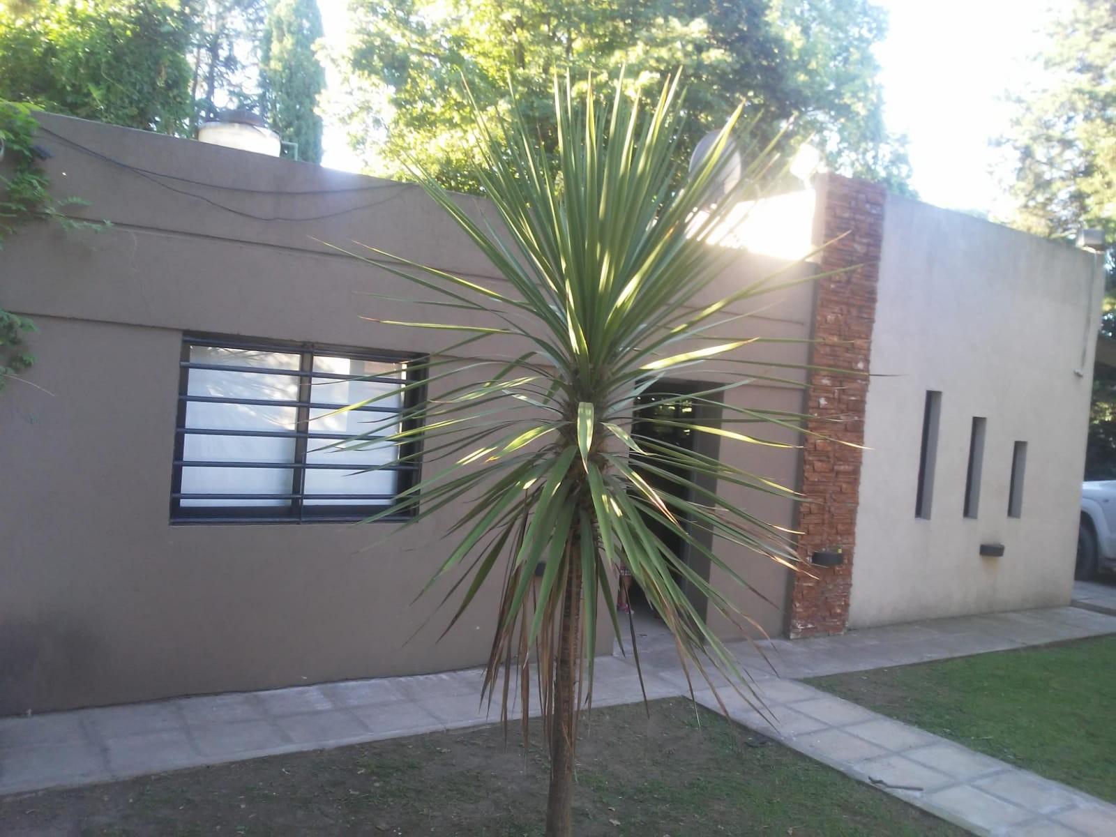 Presidente Arturo Illia · San Vicente — foto 7