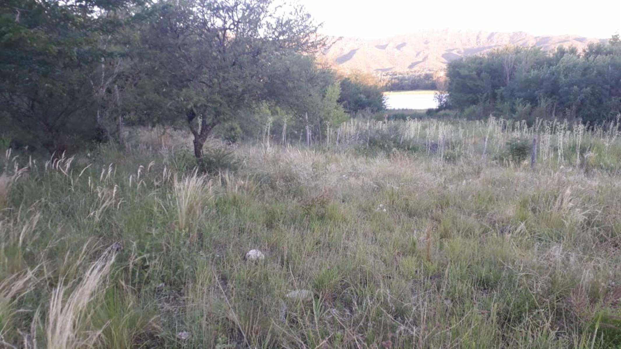 N°ref 1271-Hermoso terreno en Bialet Masse a 150m aprox de la Ruta 38 y a 50m del lago San Roque.