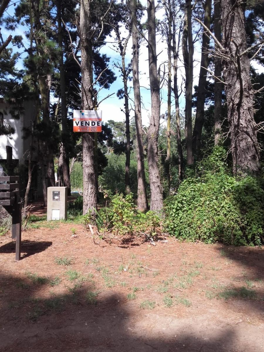 Calle 37 entre Punta del Indio y Viña del Mar · Villa Gesell — foto 3