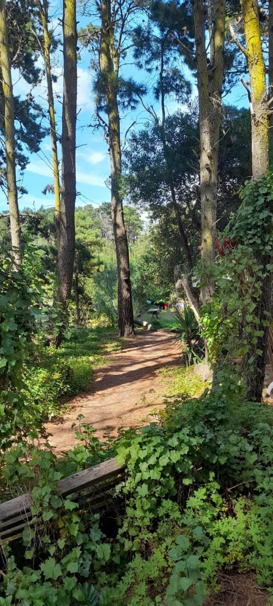 Calle 37 entre Punta del Indio y Viña del Mar · Villa Gesell — foto 4