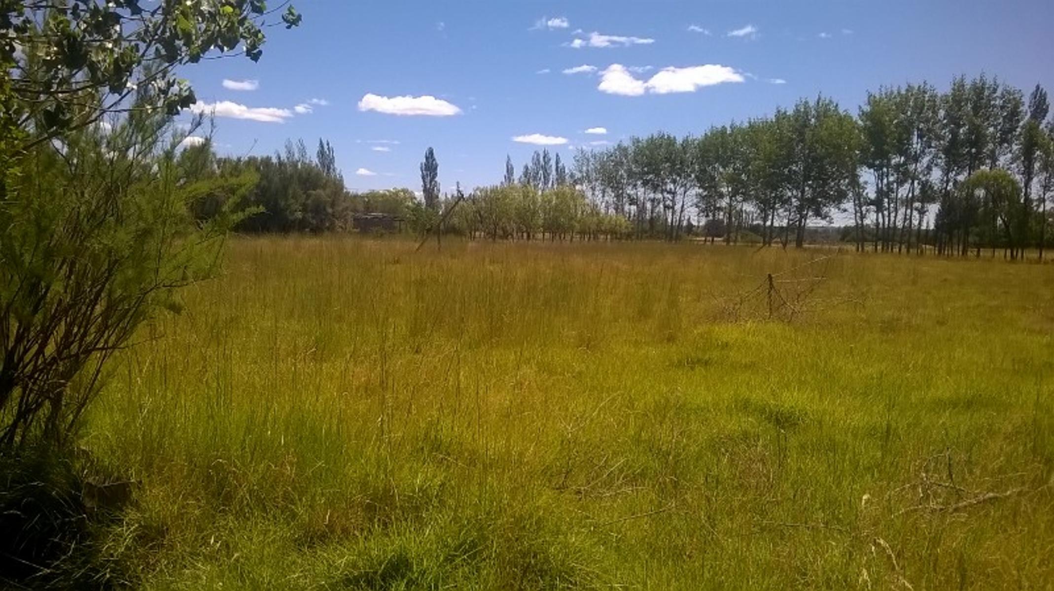 Trelew · Rawson — foto 3