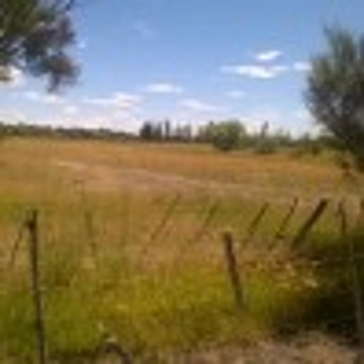 Trelew · Rawson — foto 4