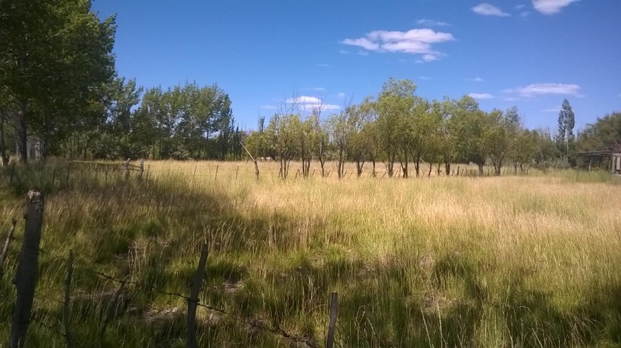 Trelew · Rawson — foto 6