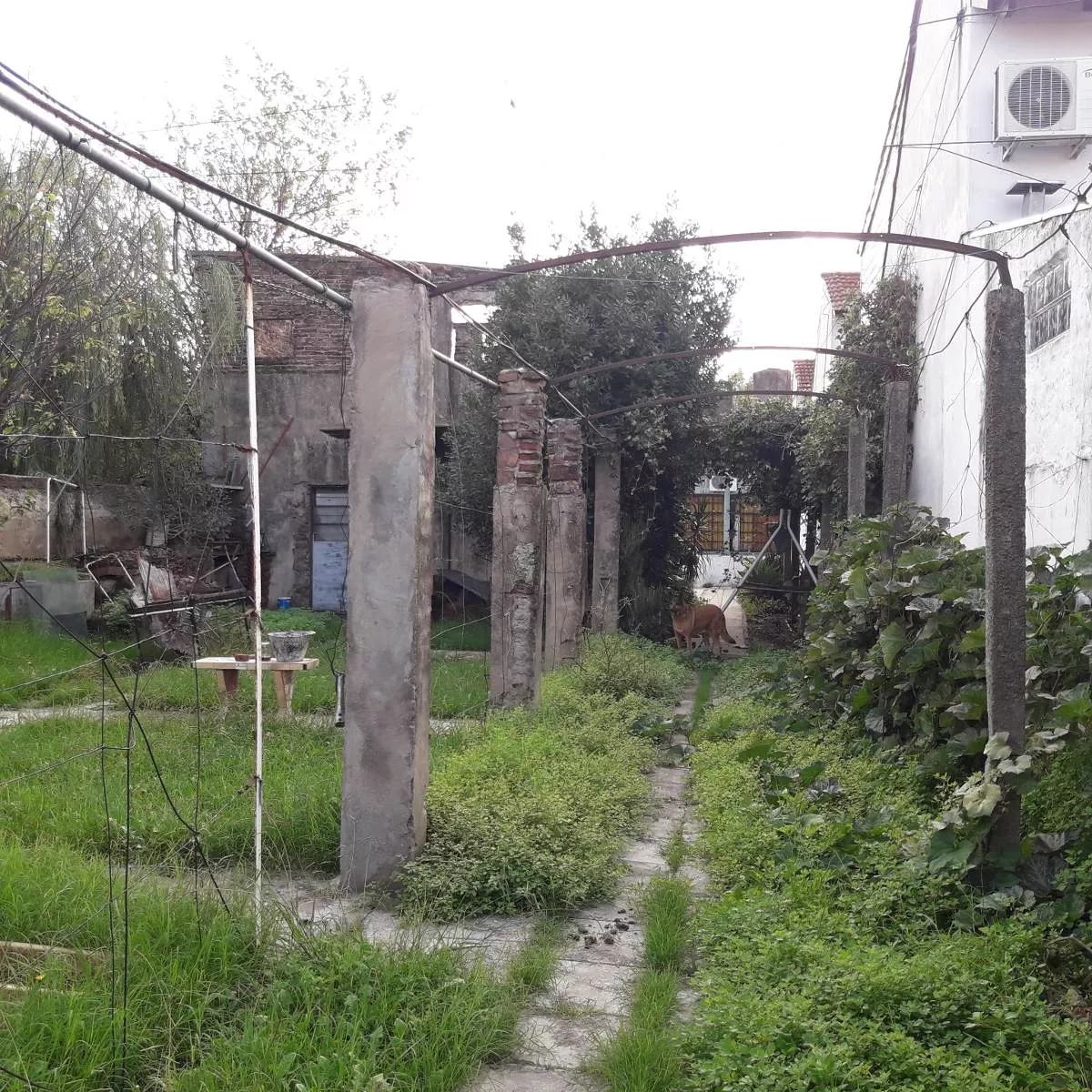 CUBA 850 · La Matanza — foto 9