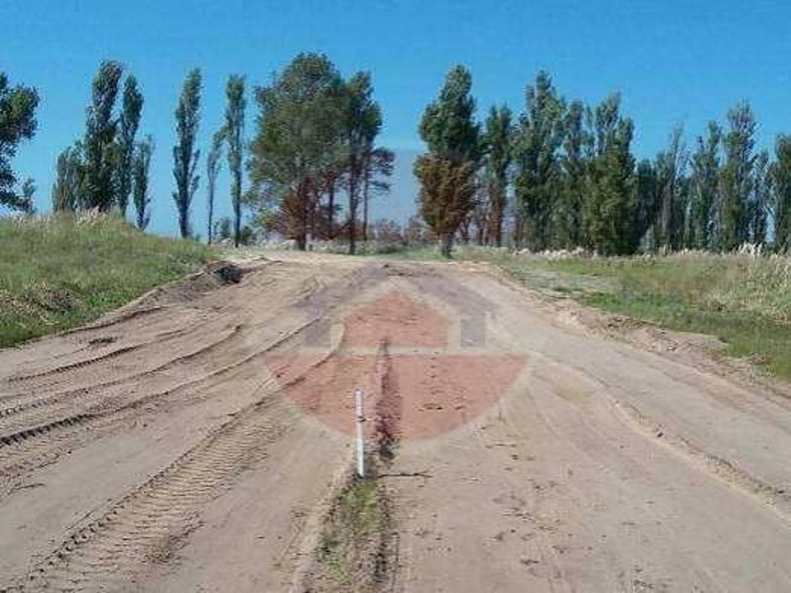 Villa Gesell Ruta Nº 11 – Km 427 · Villa Gesell — foto 15