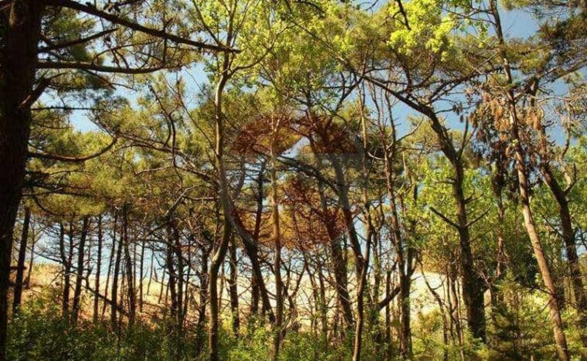 Villa Gesell Ruta Nº 11 – Km 427 · Villa Gesell — foto 17
