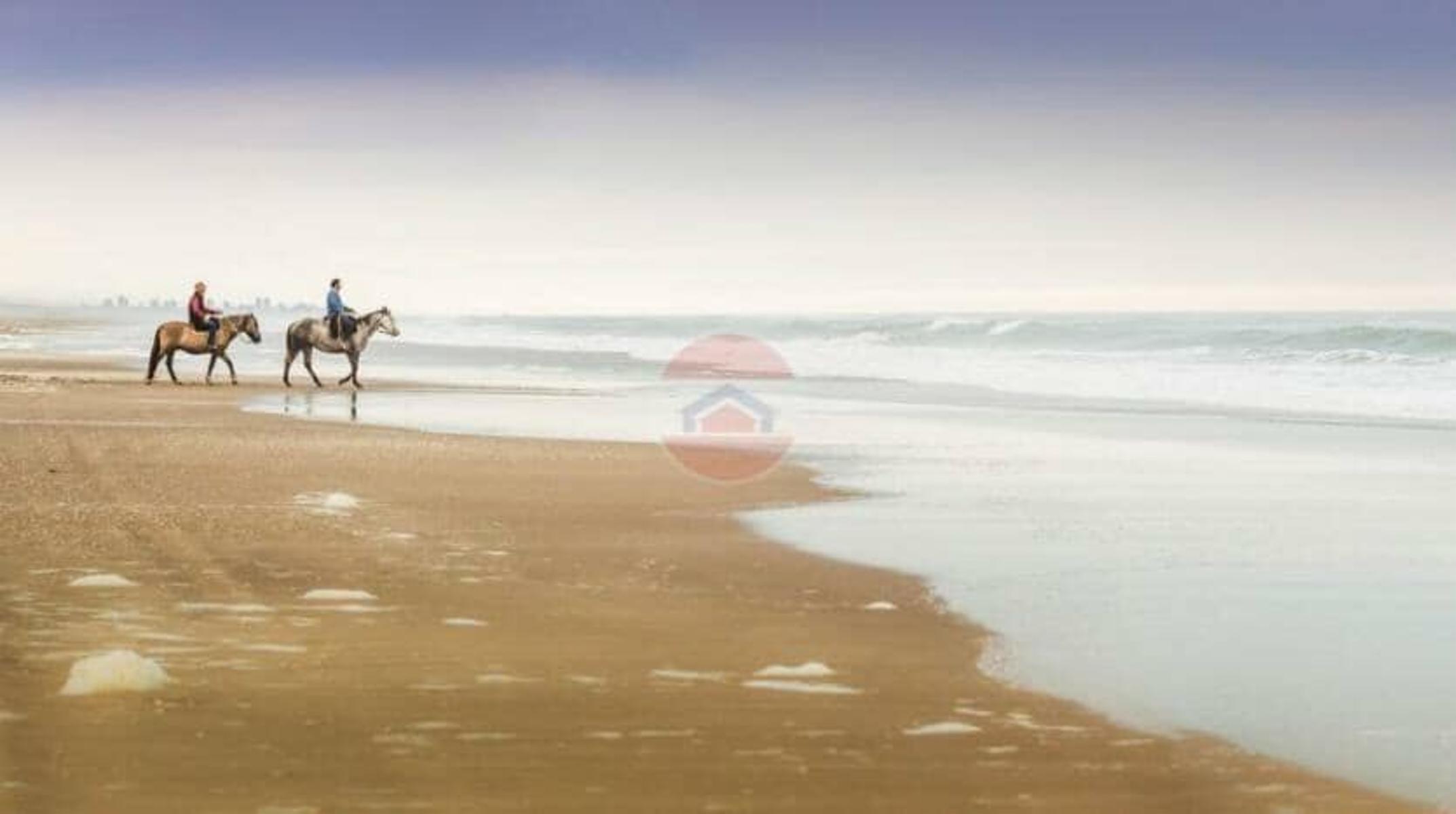 Villa Gesell Ruta Nº 11 – Km 427 · Villa Gesell — foto 18