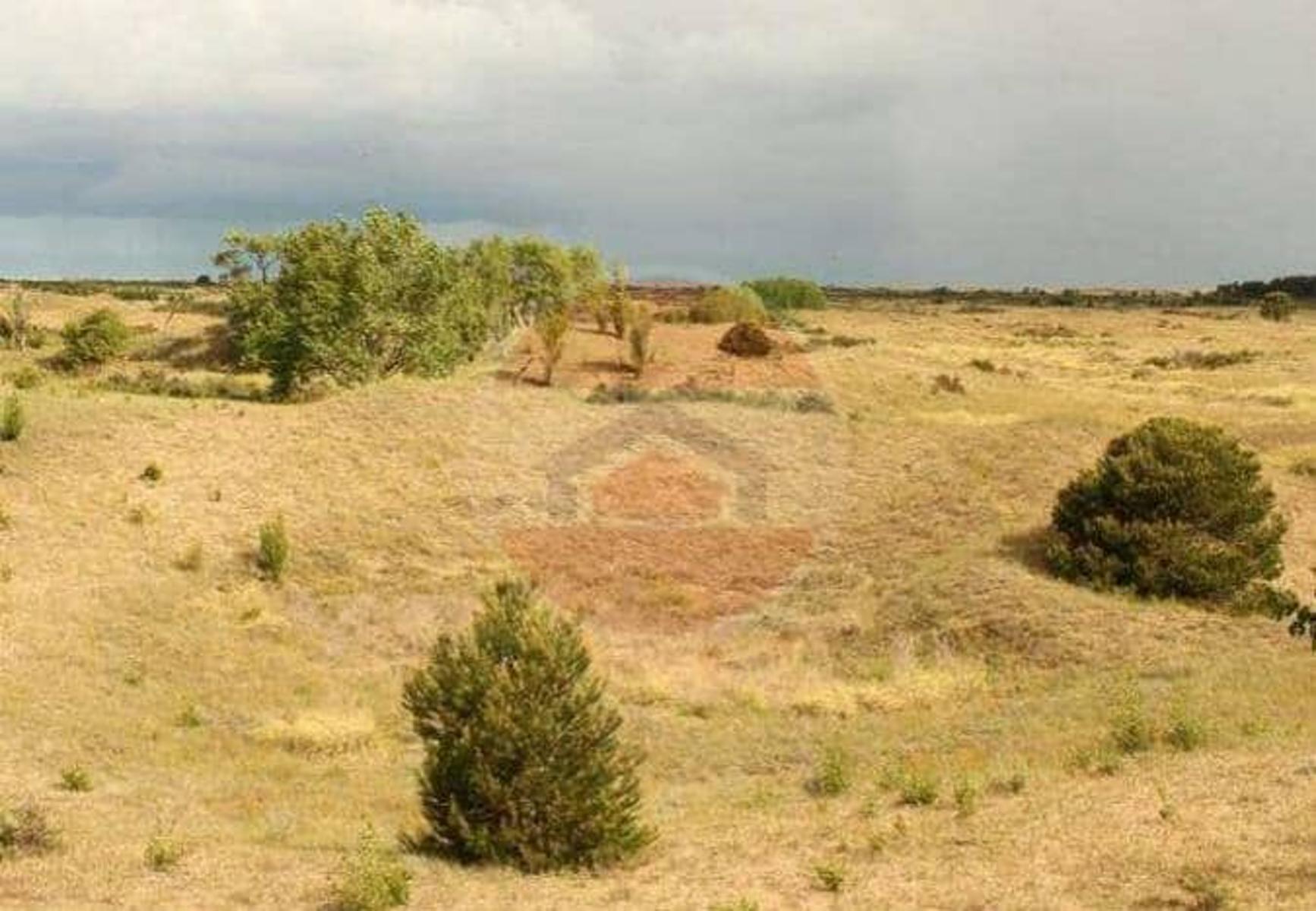 Villa Gesell Ruta Nº 11 – Km 427 · Villa Gesell — foto 19