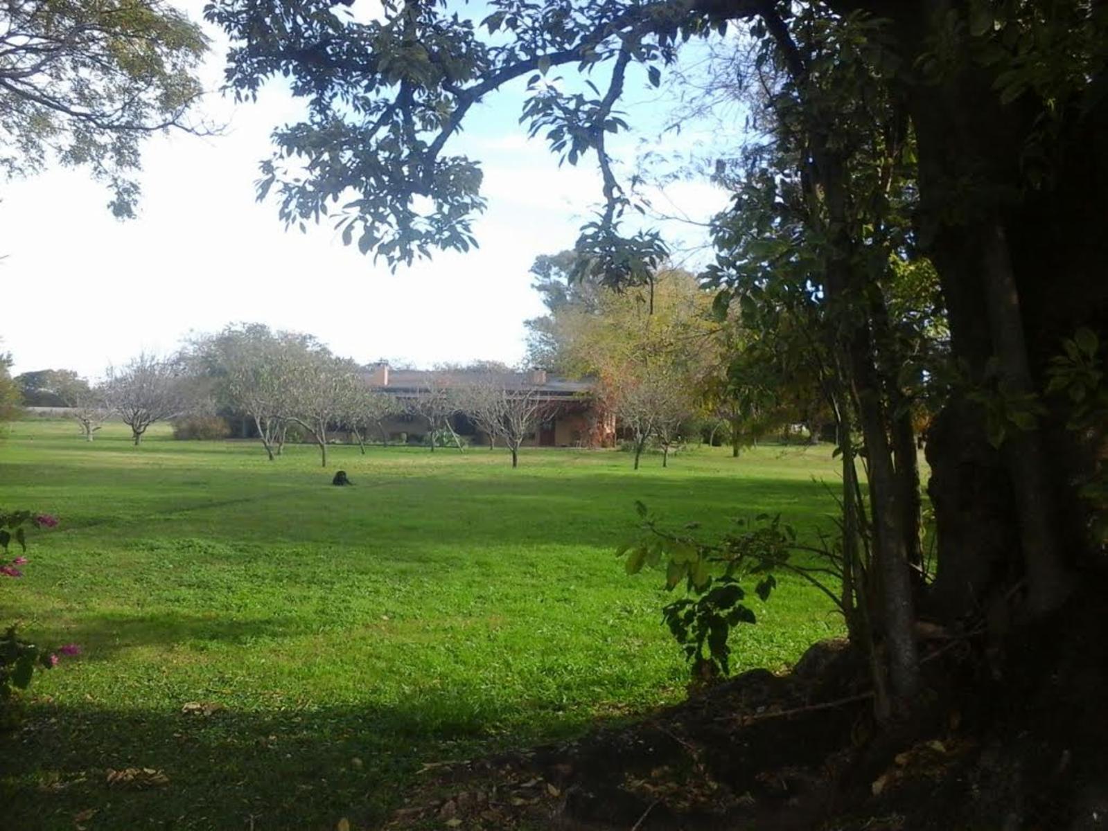 CERCA DE LA RUTA · Luján — foto 4