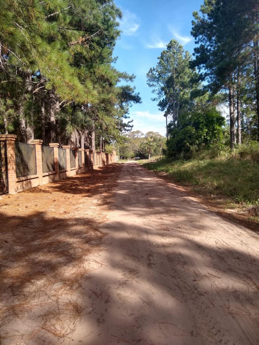 COLONIA MARIA ESTHER · San Cosme — foto 22
