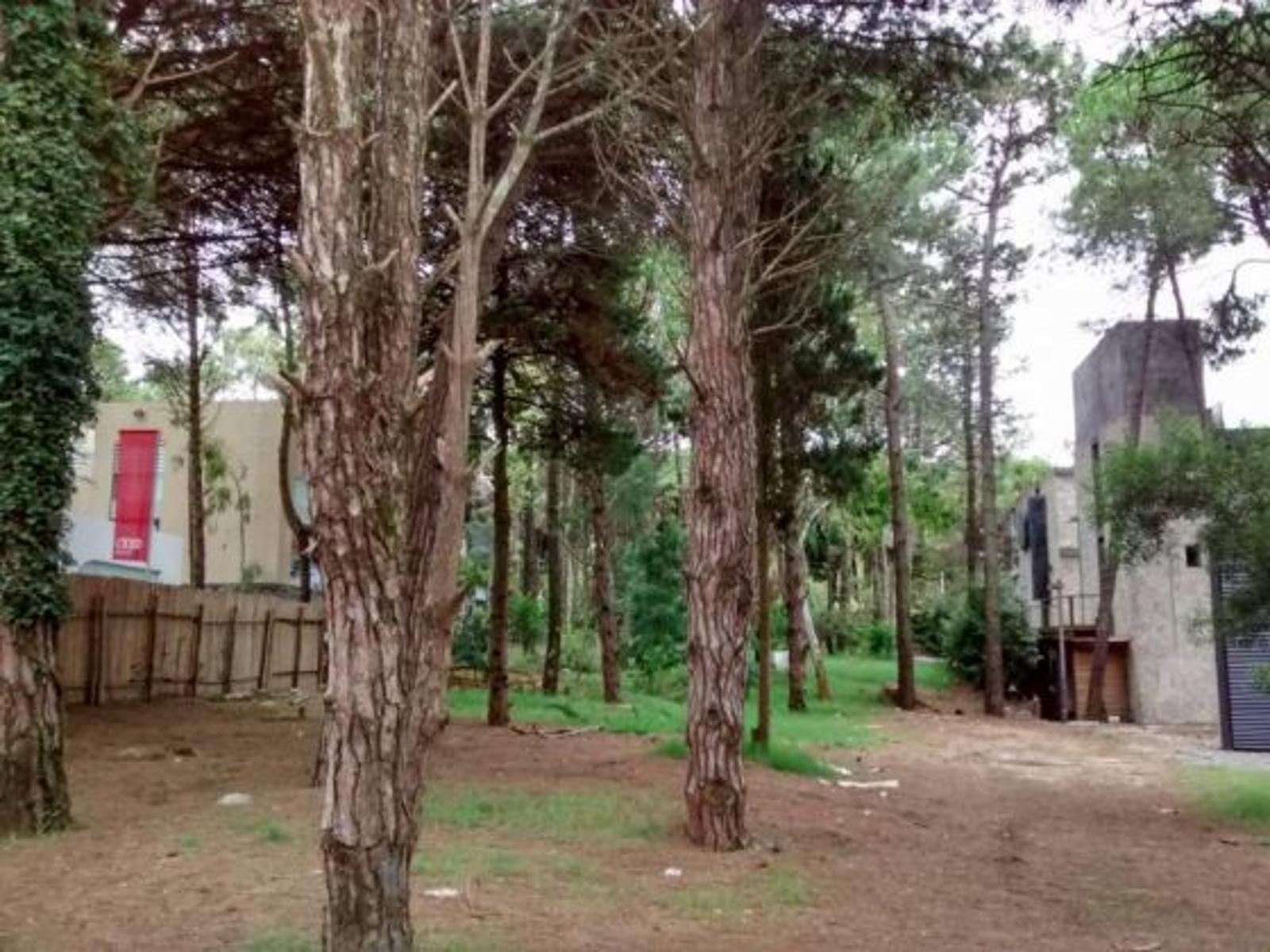 Castaño 200 · Pinamar — foto 3