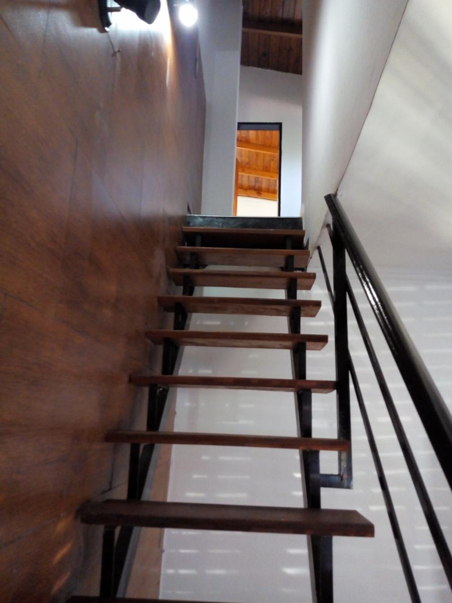 Cavia 772 · La Matanza — foto 13