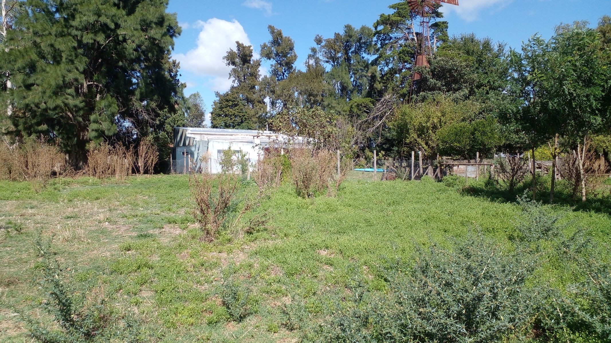 calle 220 · La Plata — foto 10