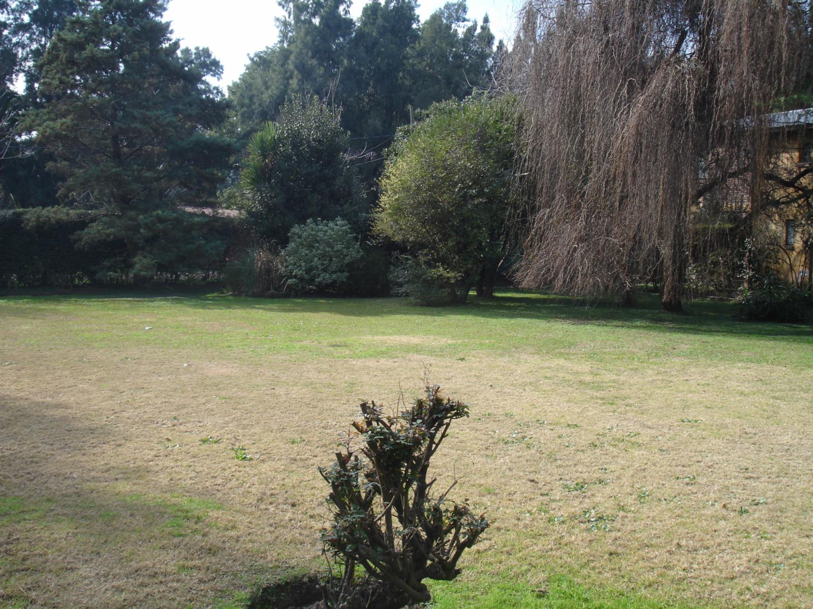 LOTE LADO NORTE ZONA RESIDENCIAL 488 m2 GAS NATURAL PARQUE ARBOLADO SALIDA ASFALTO A ACCESO OESTE Y CENTRO DE LA REJA PRÓXIMO COLEGIOS Y TRANSPORTES COLECTIVOS VARIOS - 