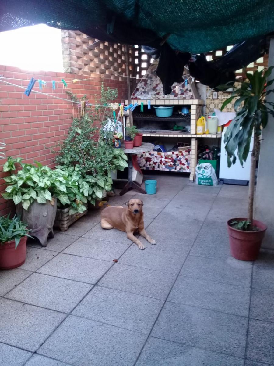 SAN JUAN · San Martín — foto 6