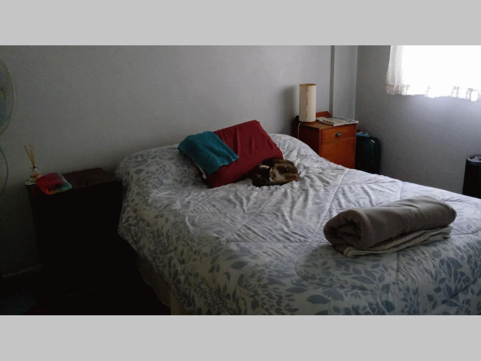 Av Medrano 300 · Almagro — foto 11