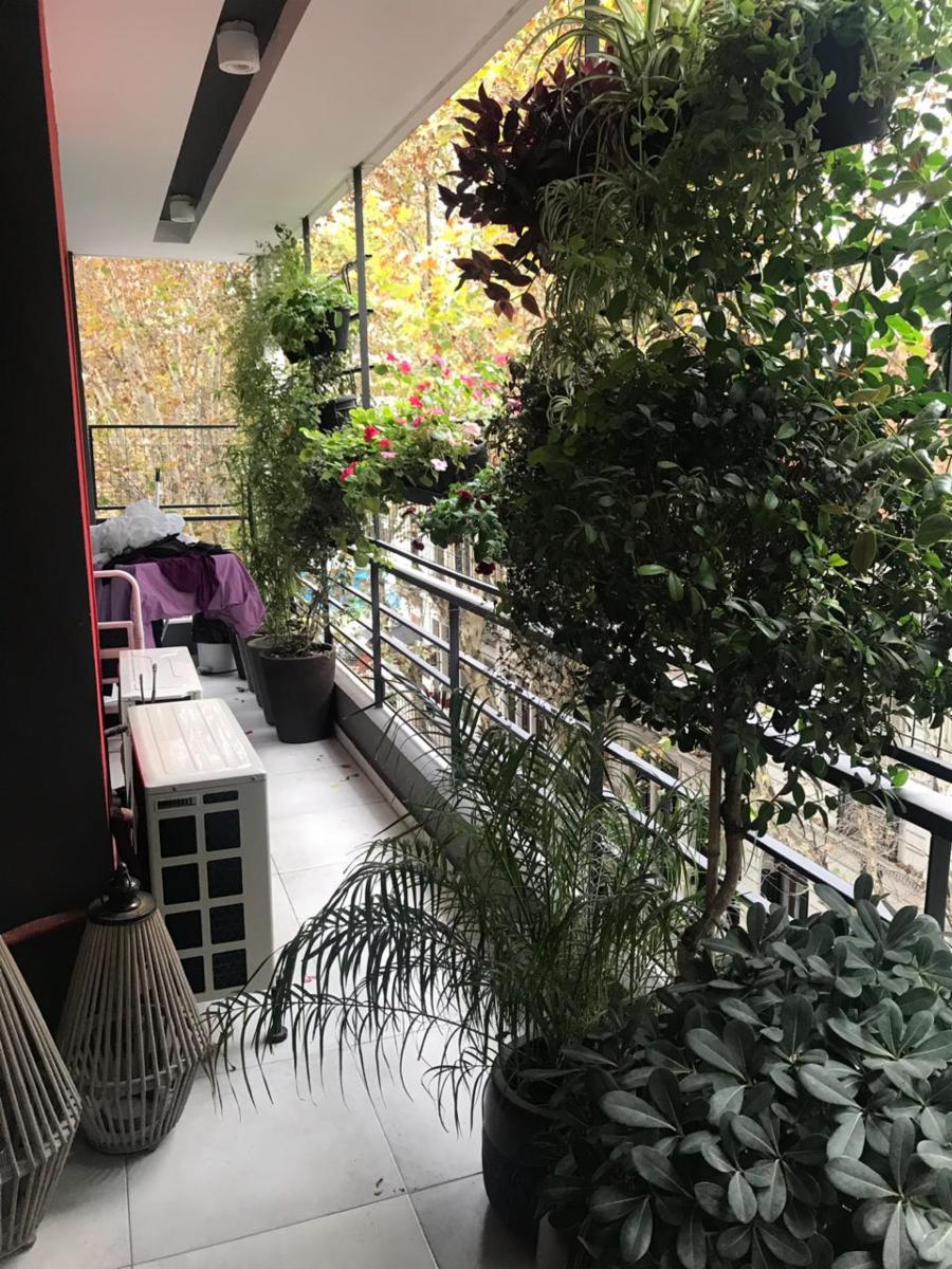 THAMES 2200 · Palermo Soho — foto 16